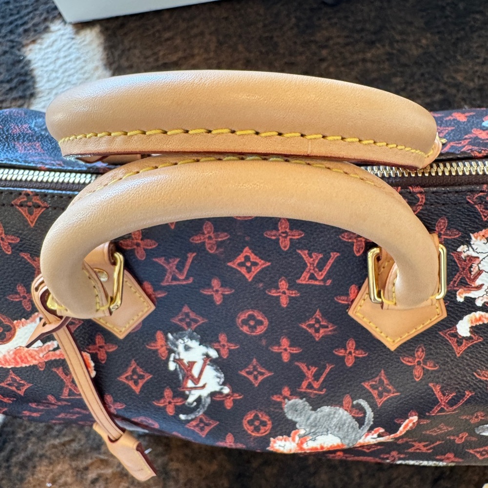 Grace Coddington Louis Vuitton Monogram Cat Speedy 30 Bag - Picture 2 of 10